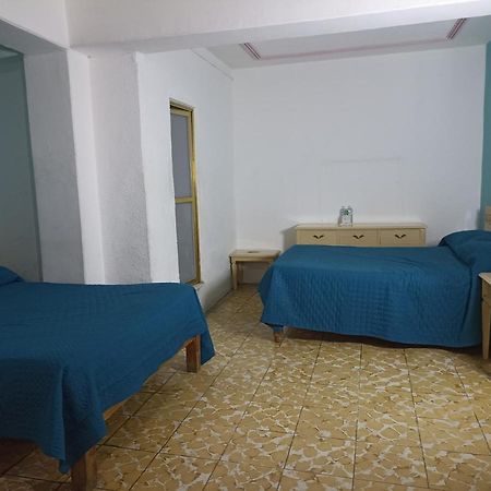 Hotel Viena Irapuato Eksteriør billede