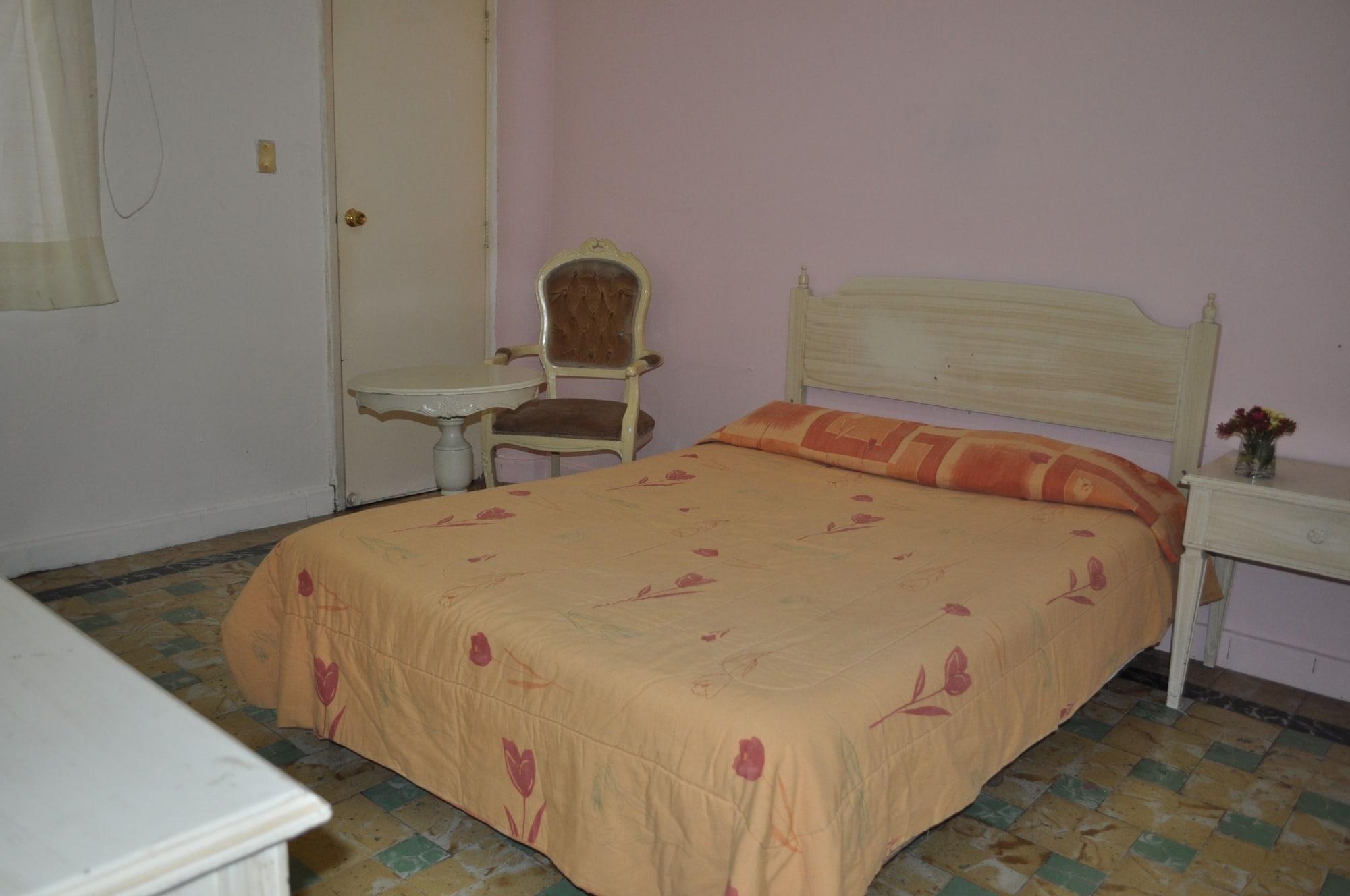 Hotel Viena Irapuato Eksteriør billede