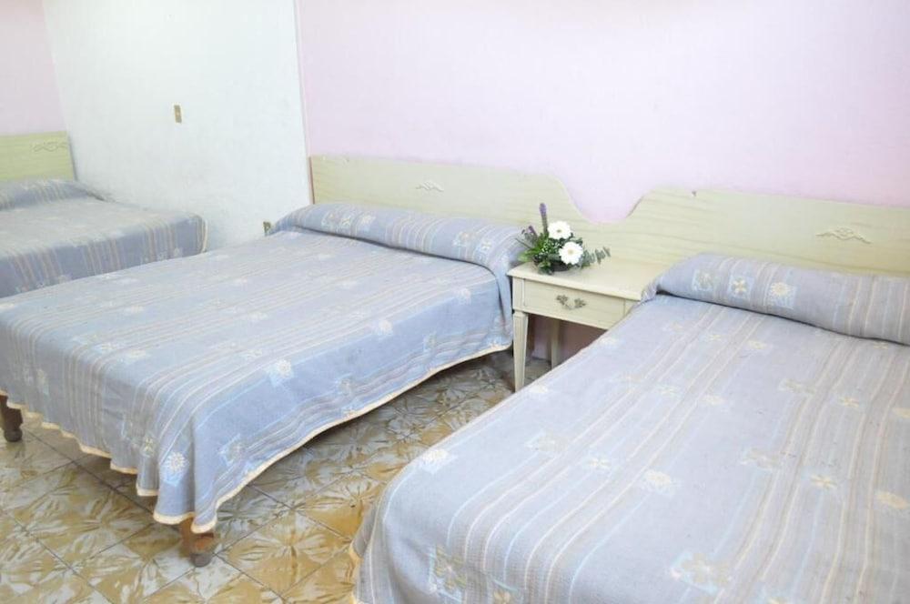 Hotel Viena Irapuato Eksteriør billede
