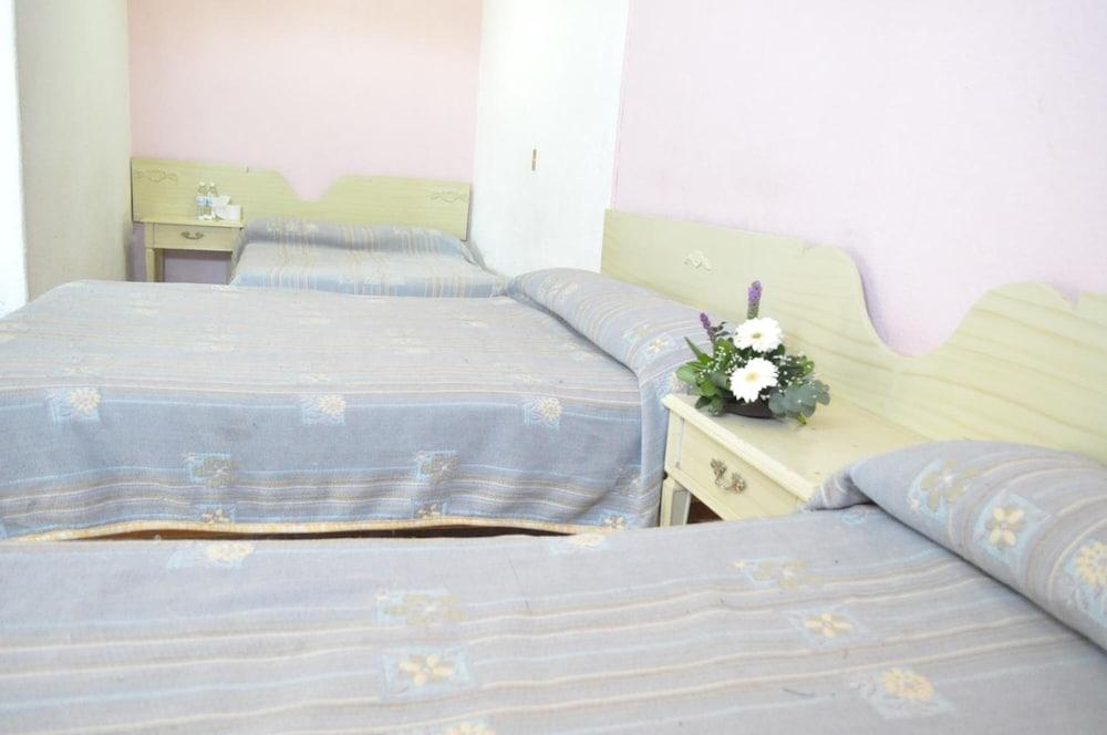 Hotel Viena Irapuato Eksteriør billede
