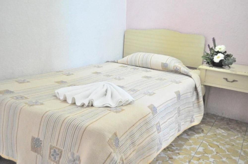 Hotel Viena Irapuato Eksteriør billede