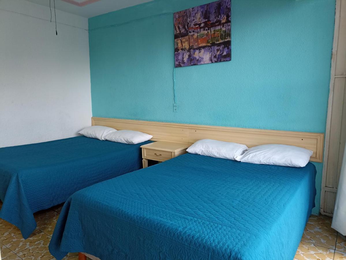 Hotel Viena Irapuato Eksteriør billede